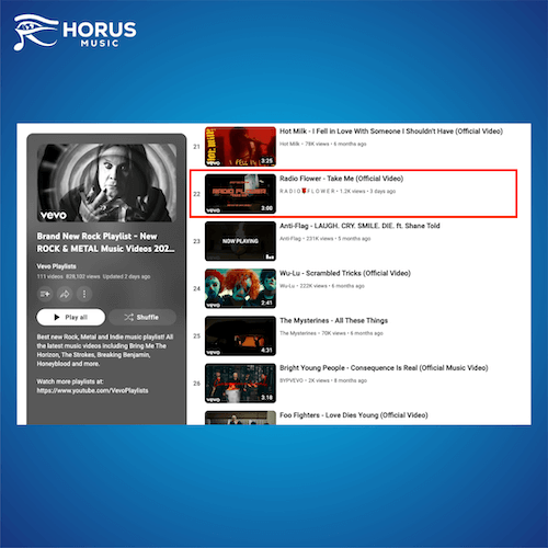 Video Distribution_VEVO Editorial success_radio flower
