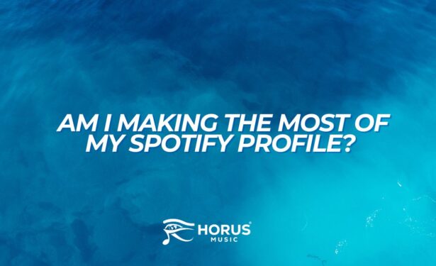 Am I making the most of my Spotify profile? 